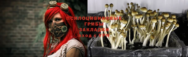 первитин Белокуриха