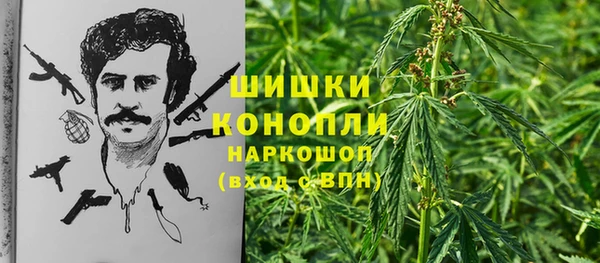 гашик Белоозёрский