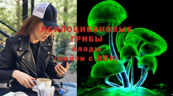 первитин Белокуриха