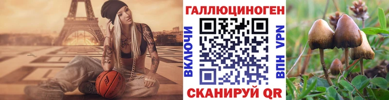 Псилоцибиновые грибы мицелий  Луховицы 