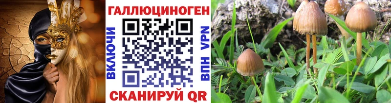 Галлюциногенные грибы прущие грибы Луховицы